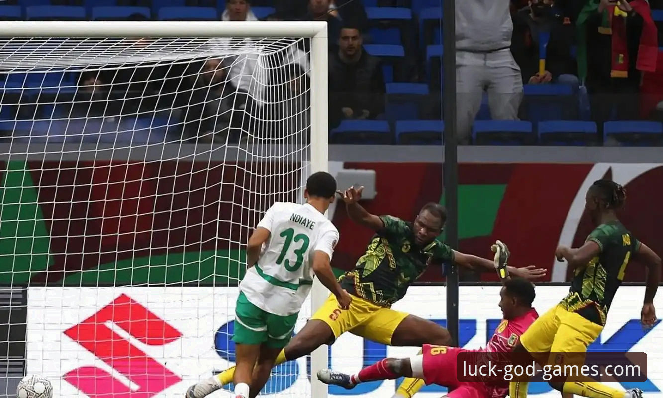 3个关键瞬间，解读民主刚果52年重返世界杯的“绝杀”密码